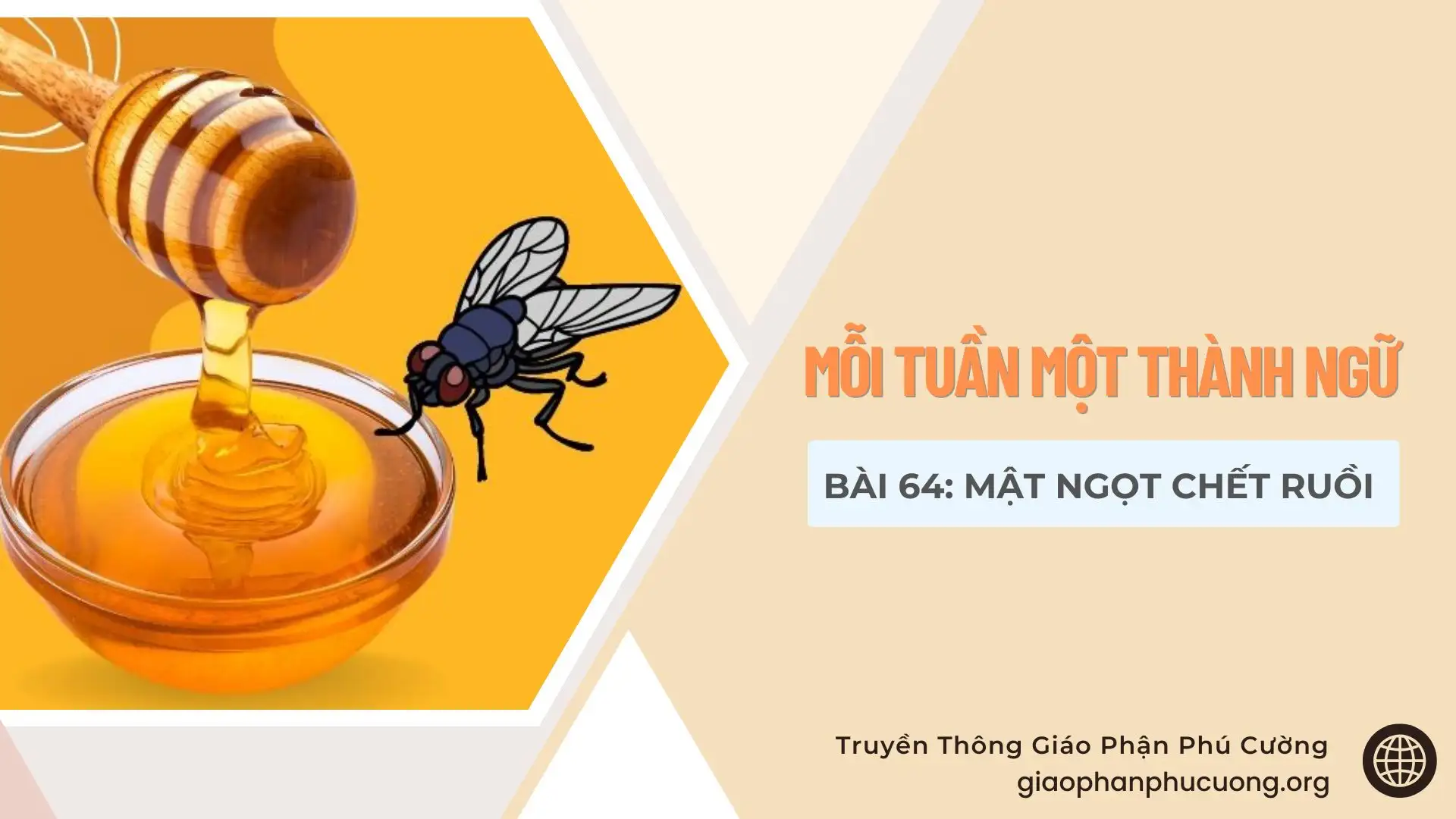 Mỗi Tuần Một Thành Ngữ |  Bài 64: Mật Ngọt Chết Ruồi | Thầy Giuse Nguyễn Văn Quýnh