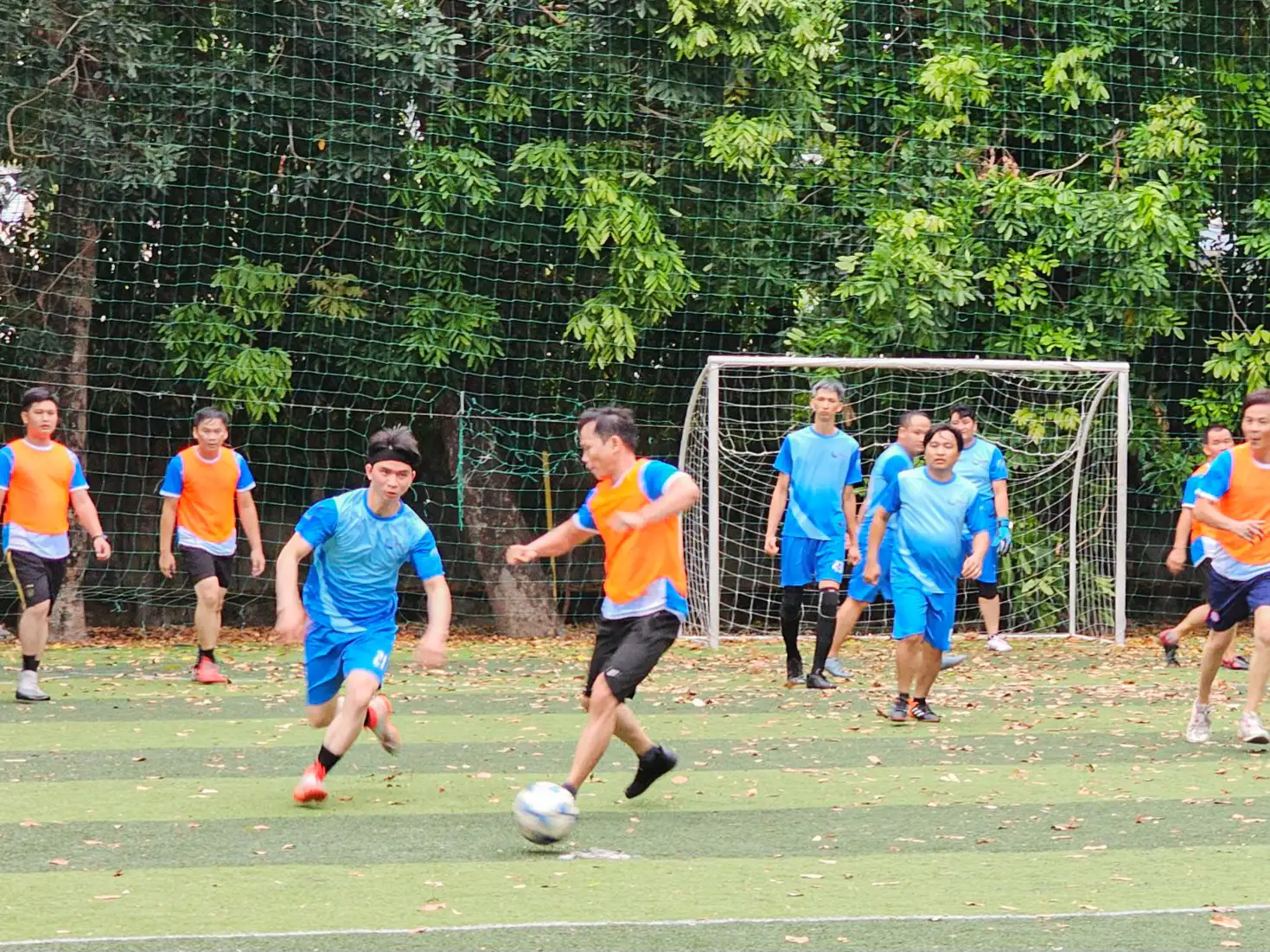 Photo-6