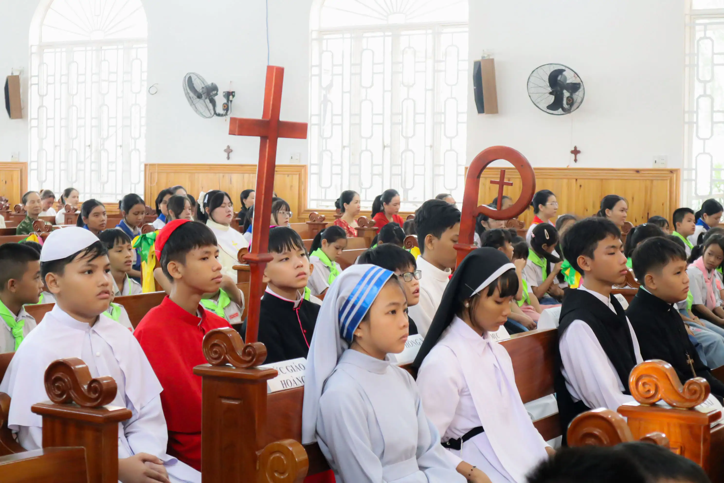 Photo-11