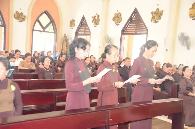 Photo-3