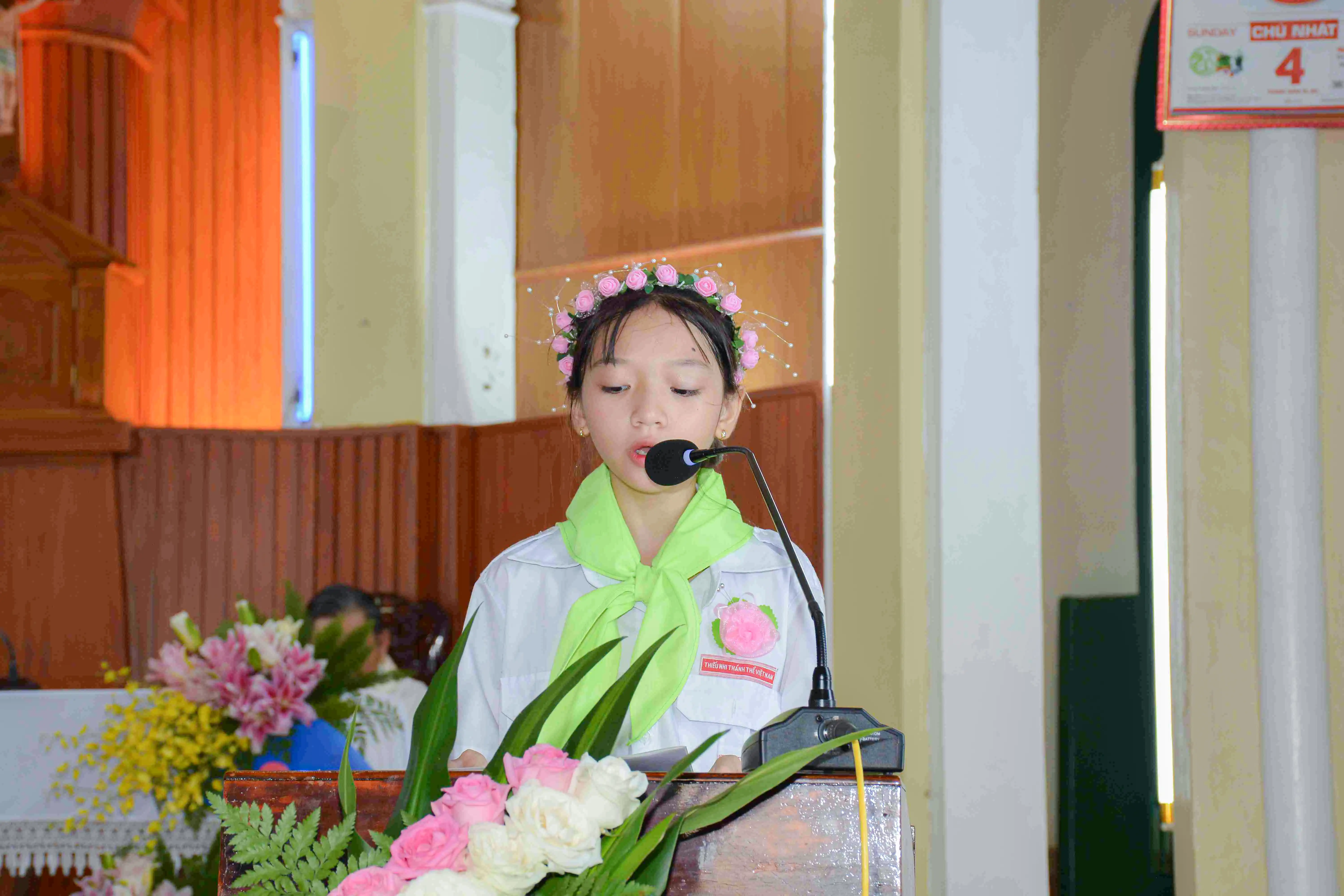 Photo-8