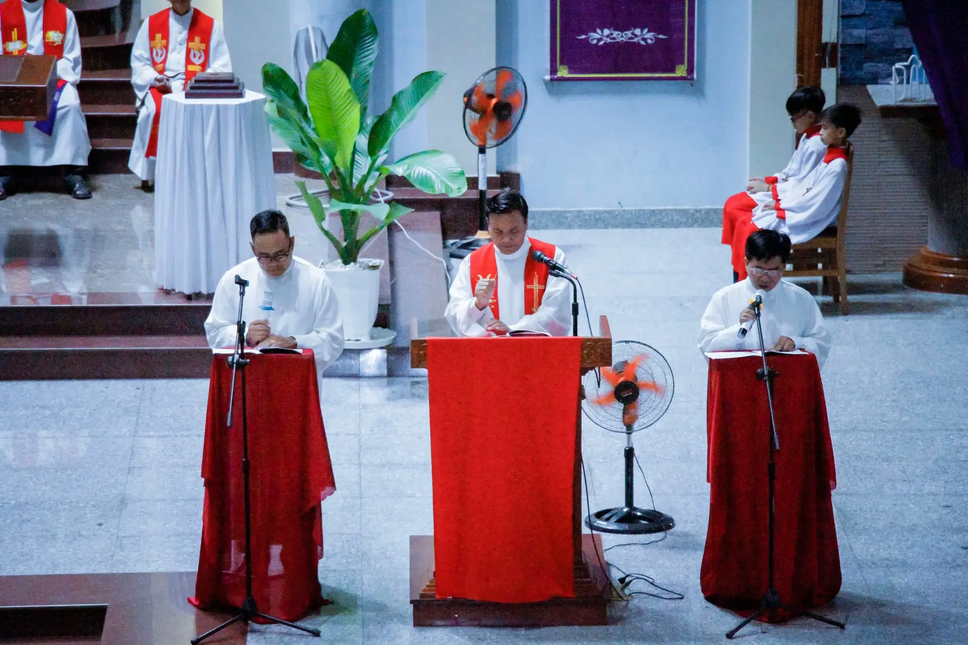 Photo-6