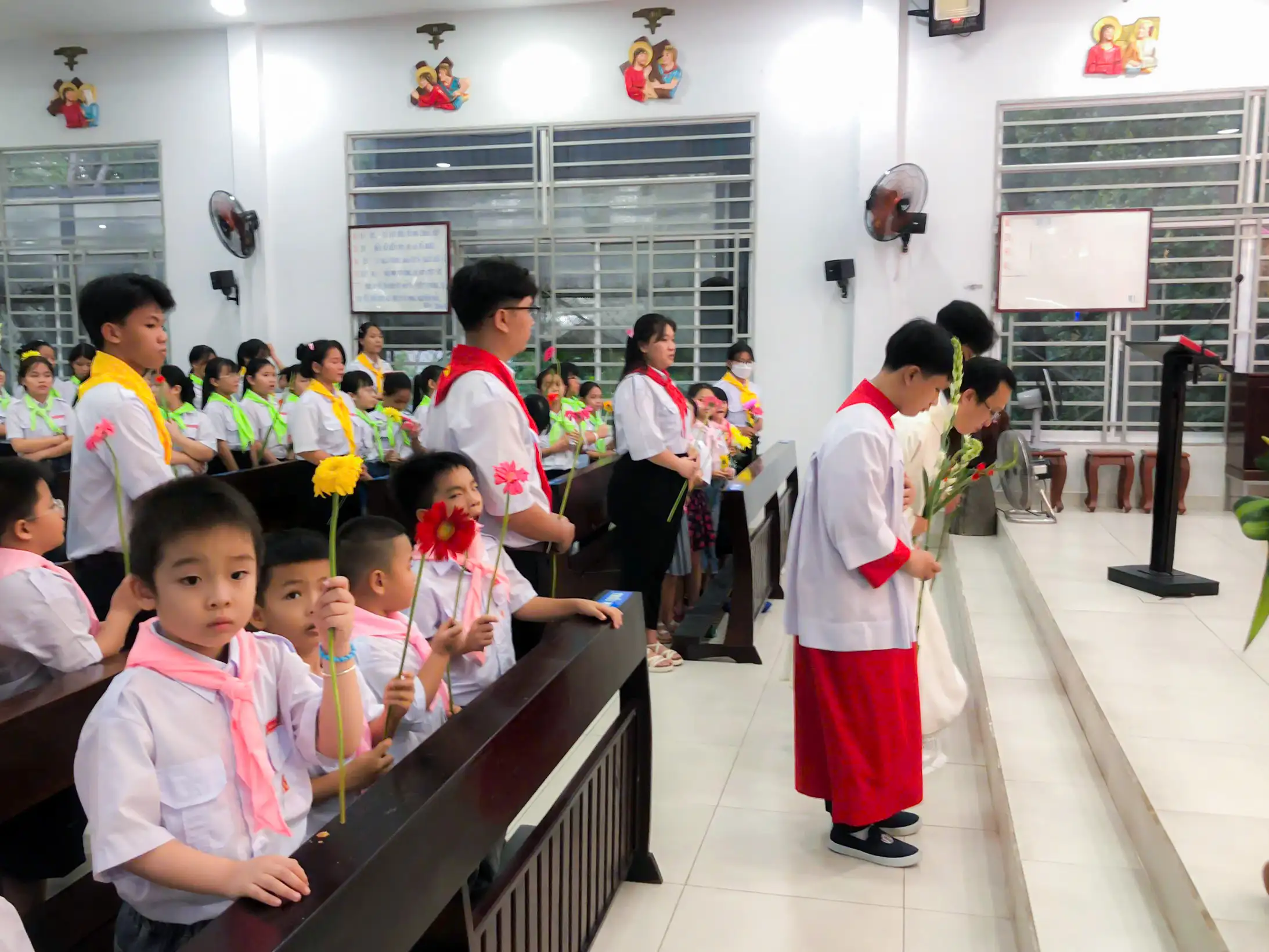 Photo-7