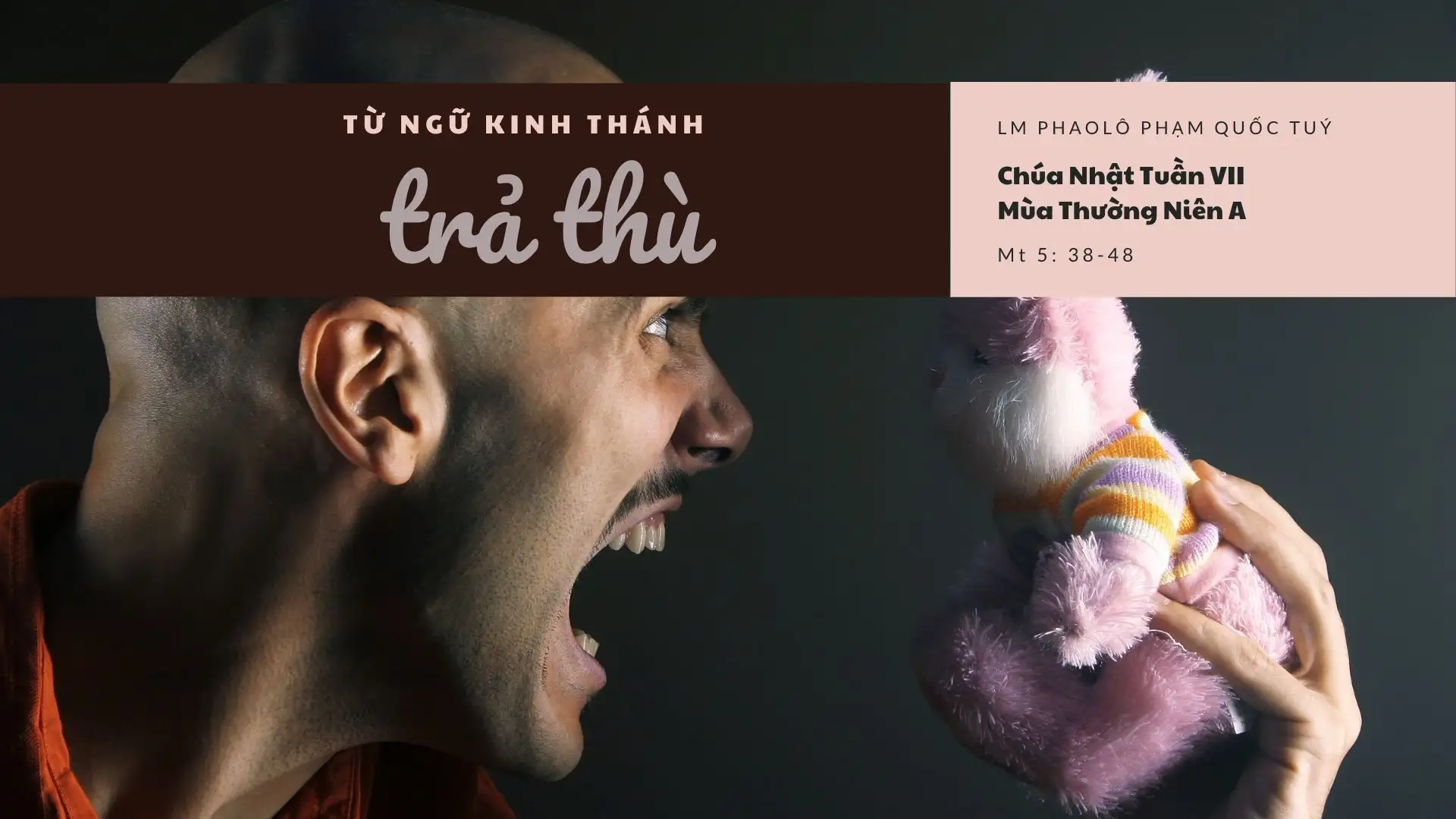 Trả thù - Chúa Nhật Thường Niên 7 A (Mt 5:38-48) - Từ ngữ Kinh Thánh - hiệp thông Loan bao Tin mừng