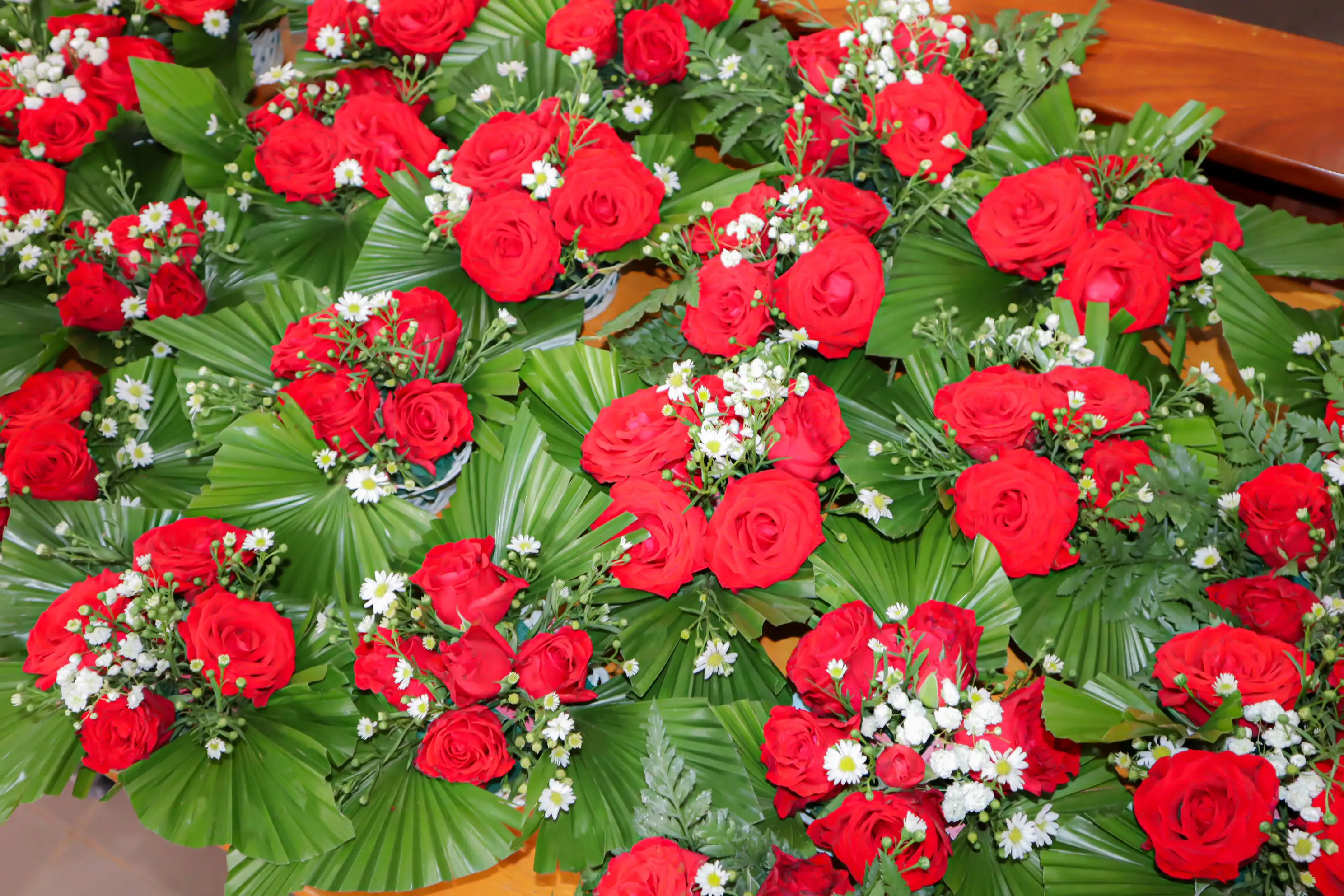 Photo-1