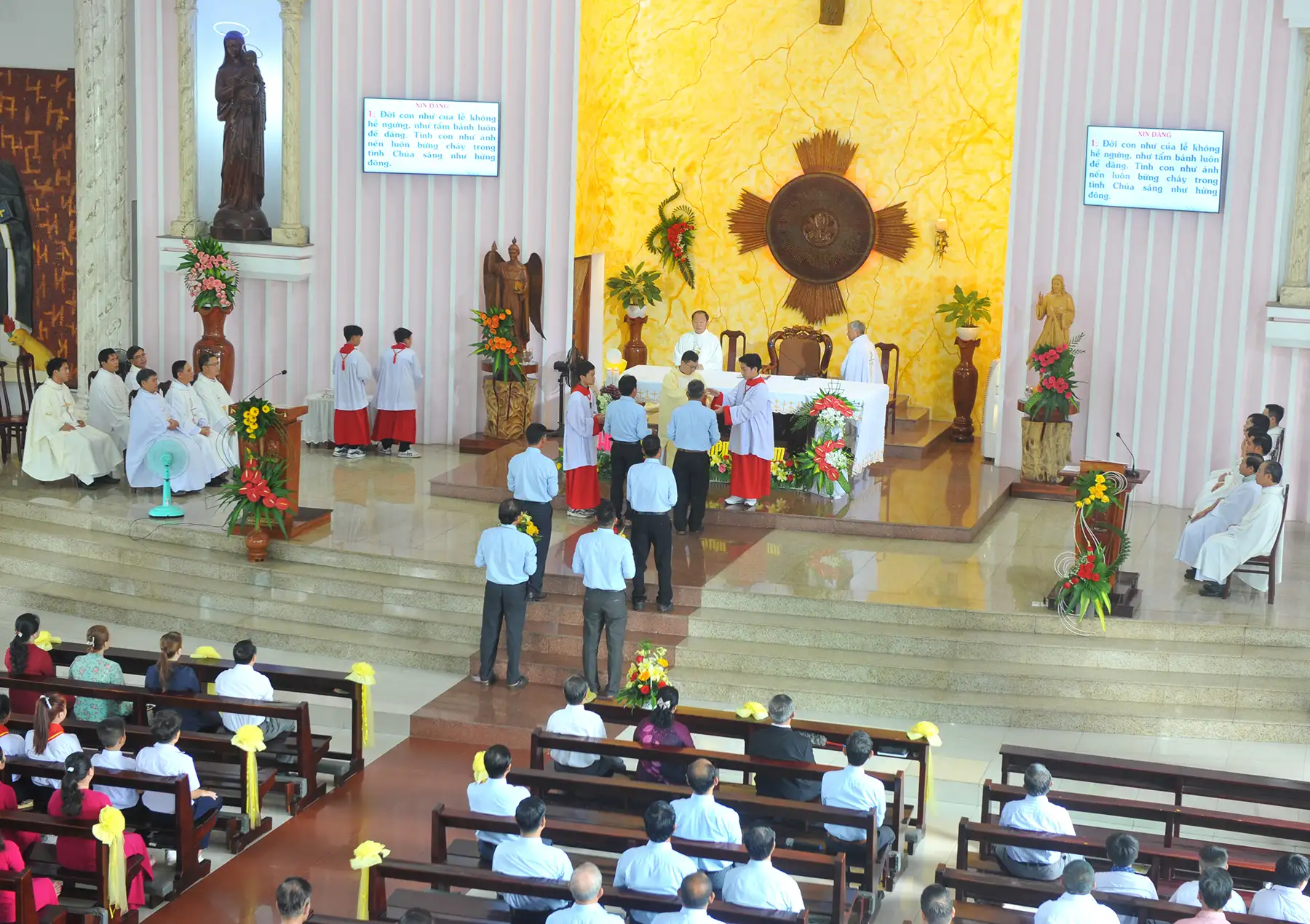 Photo-11