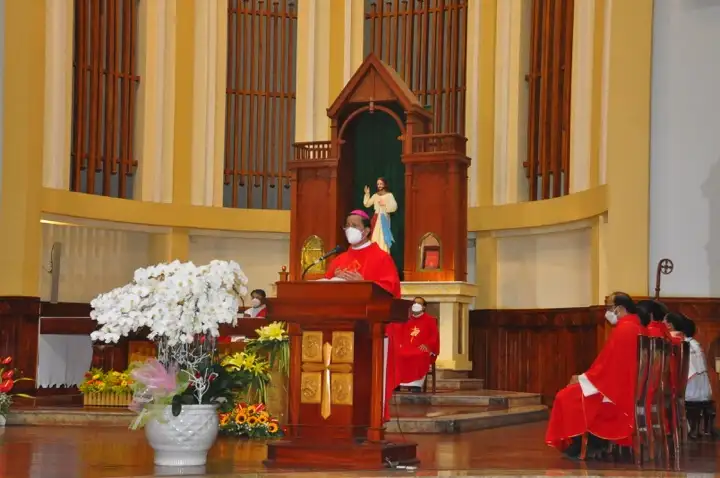 Photo-8
