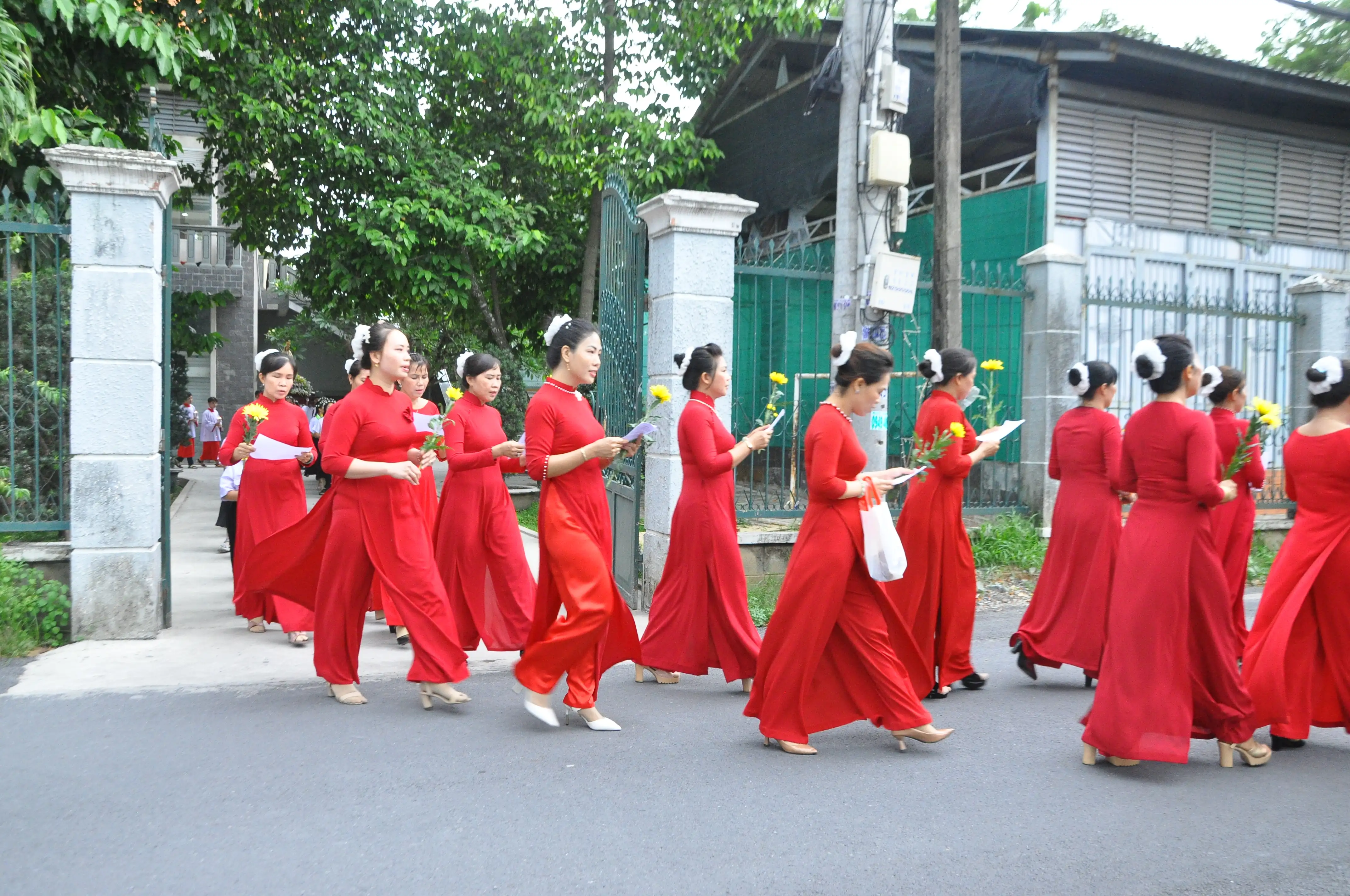 Photo-3
