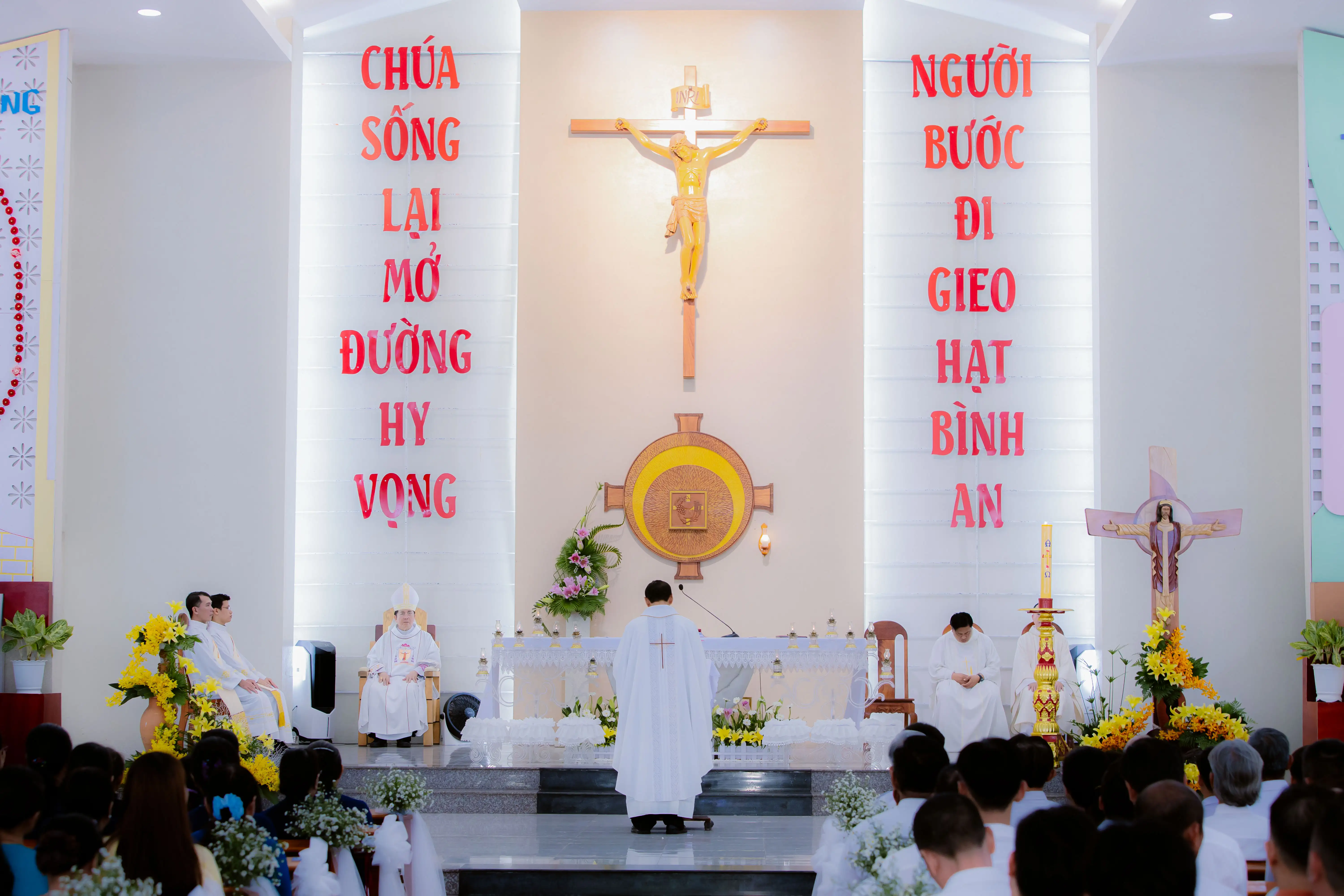 Photo-6