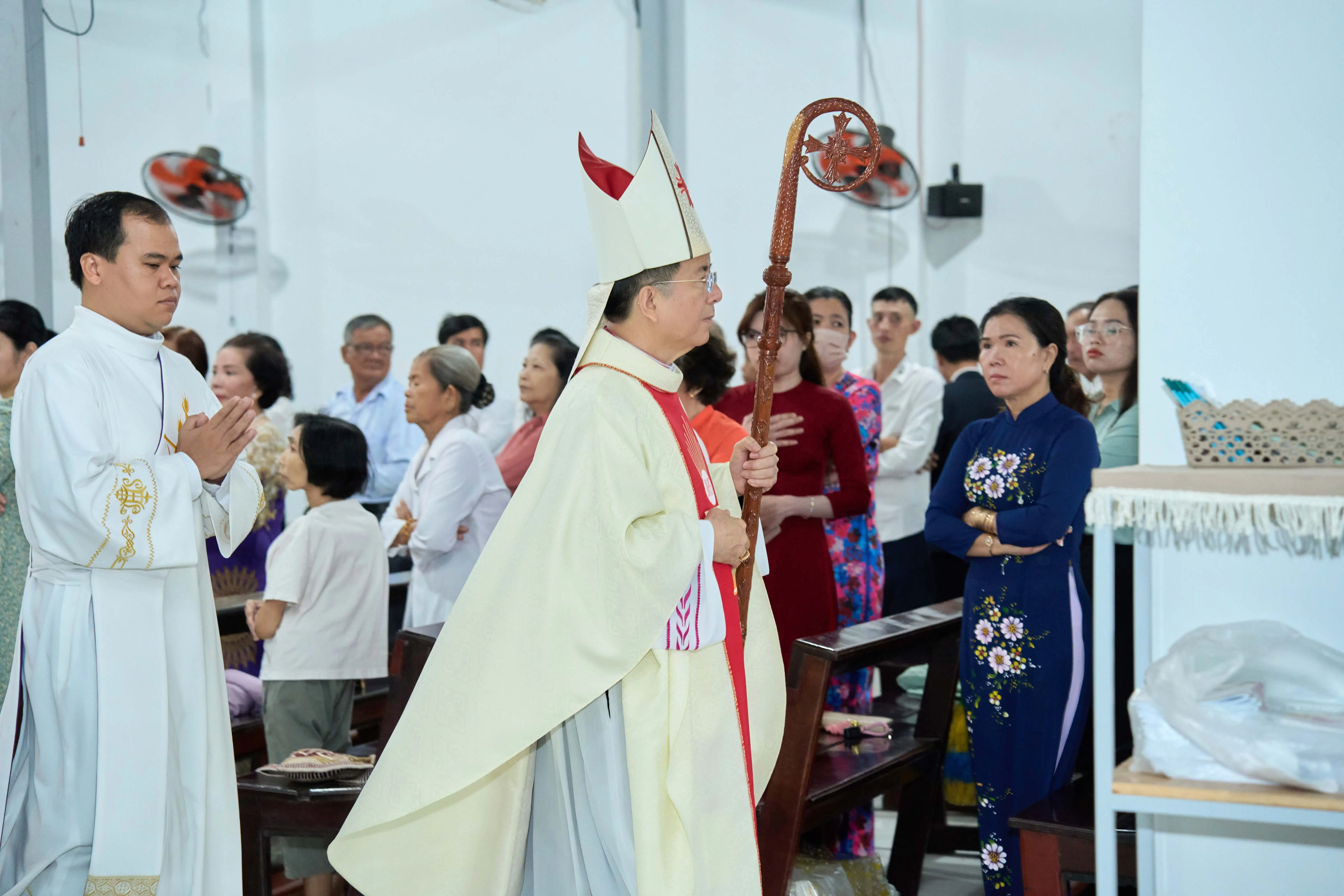 Photo-11