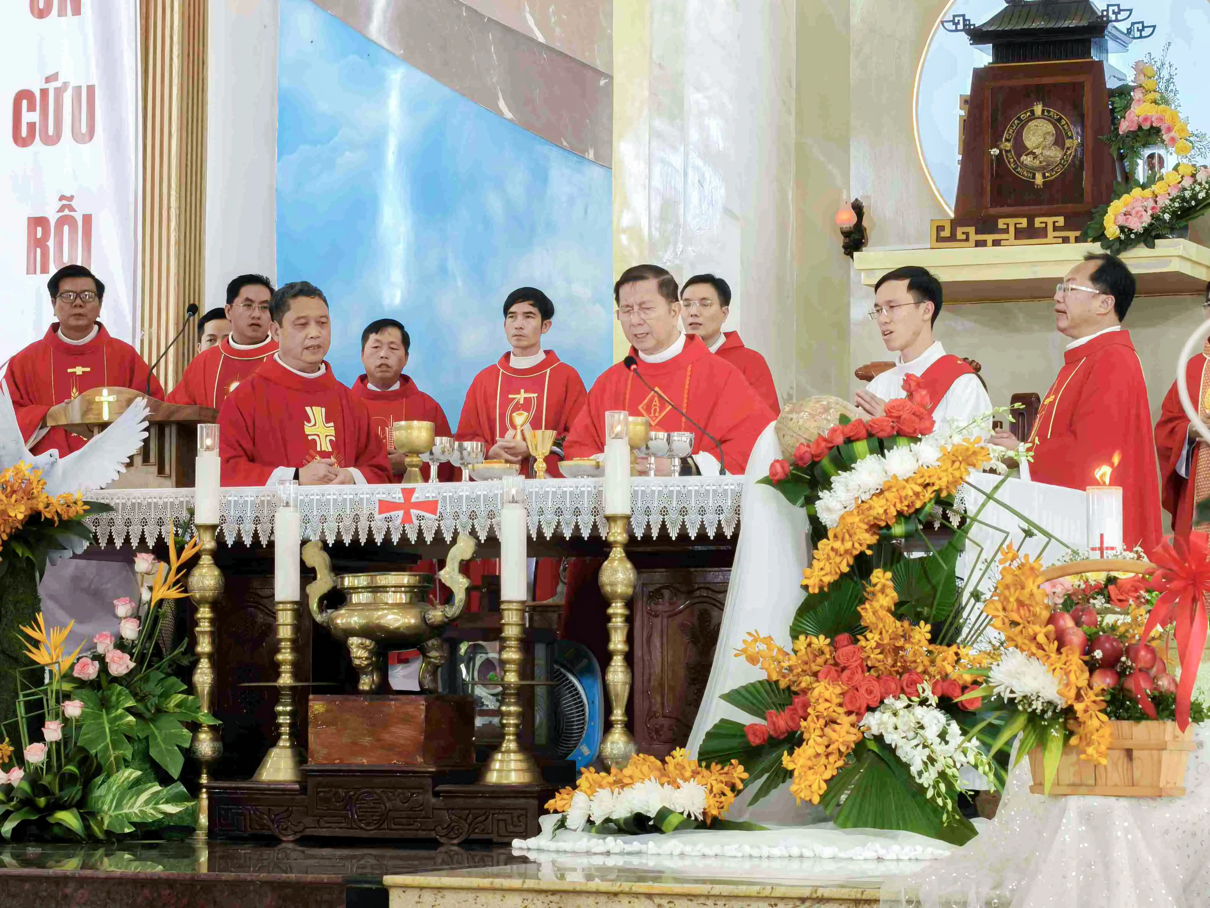 Photo-11