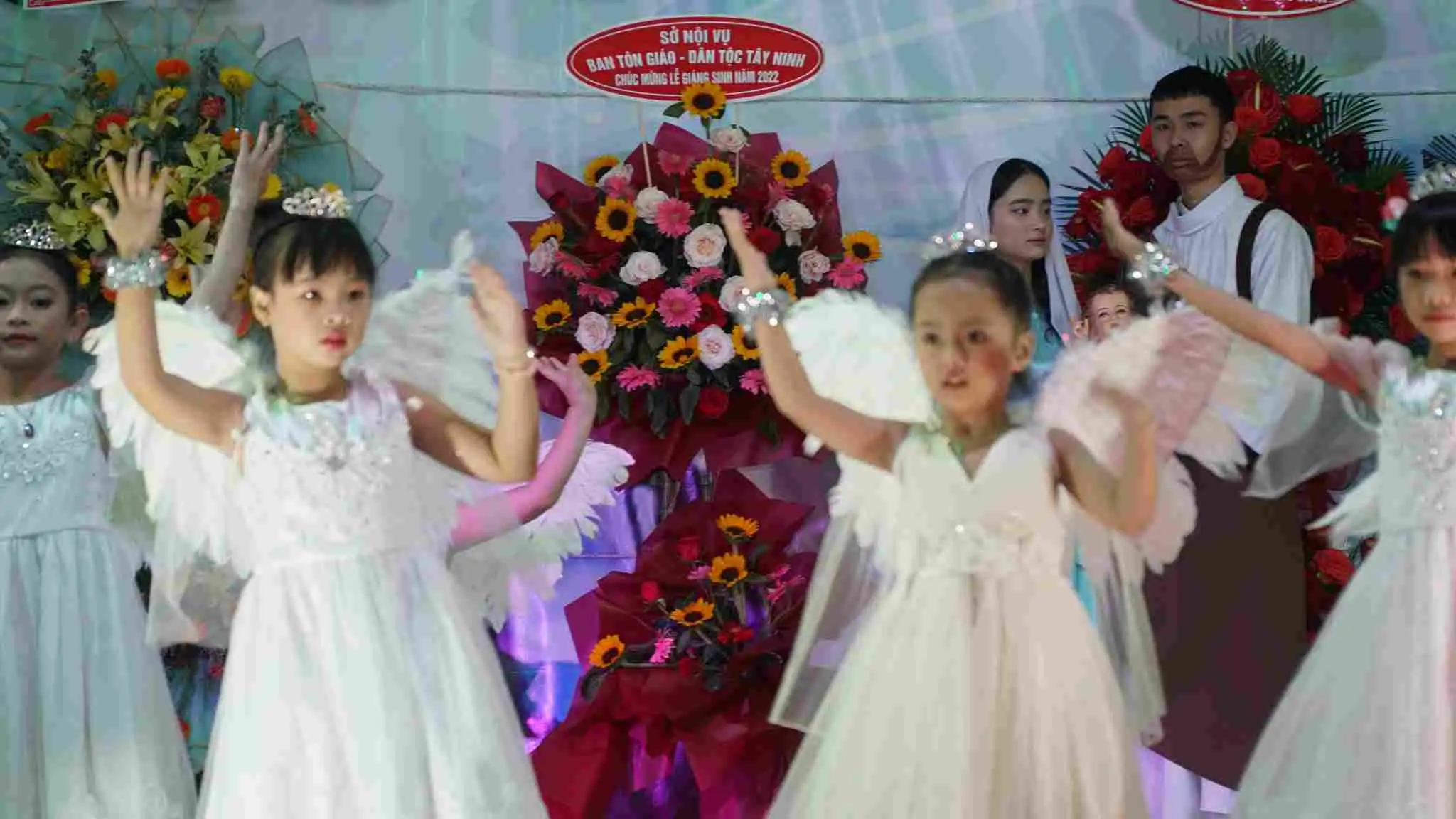 Photo-6