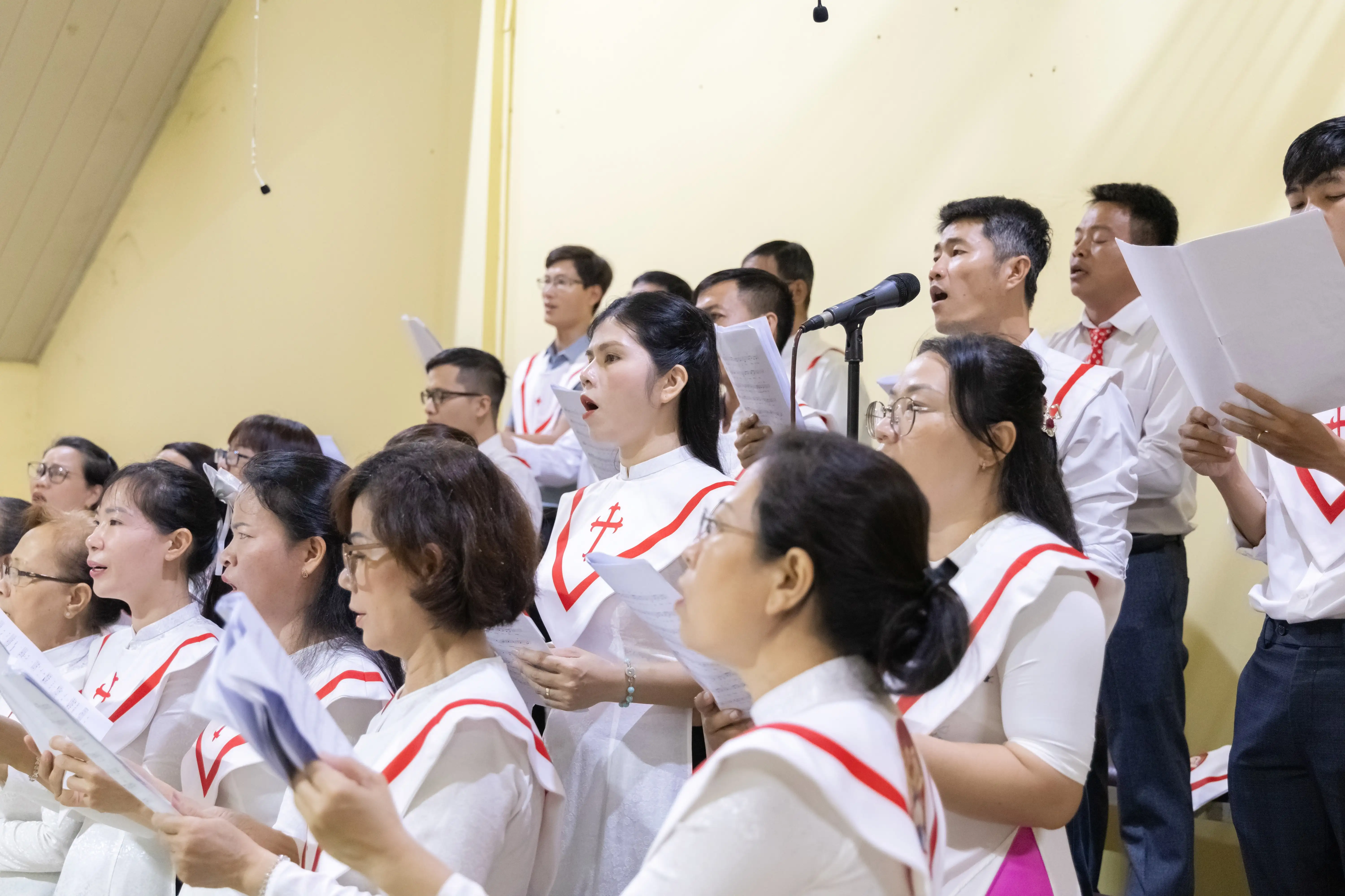 Photo-5