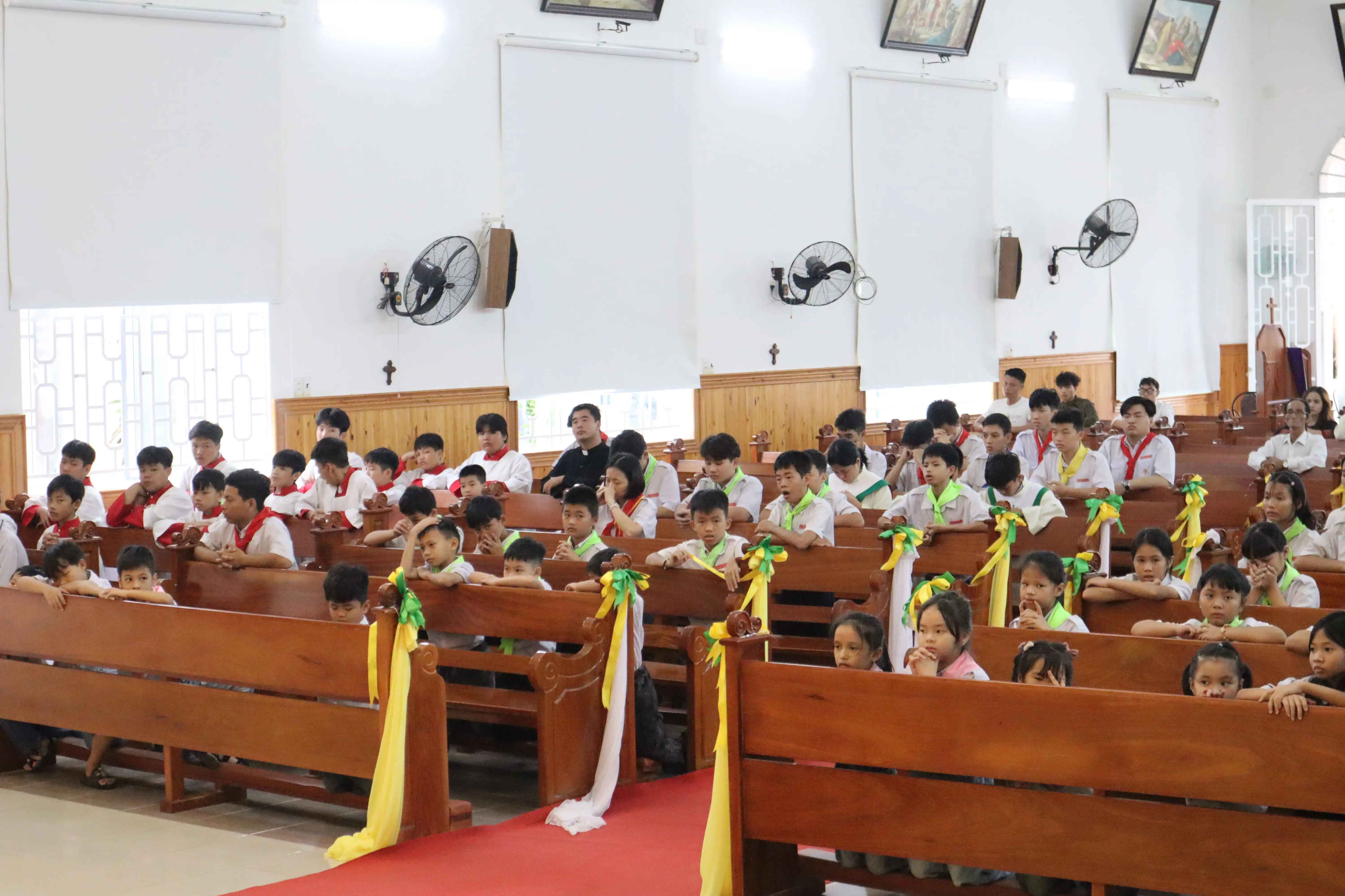 Photo-11
