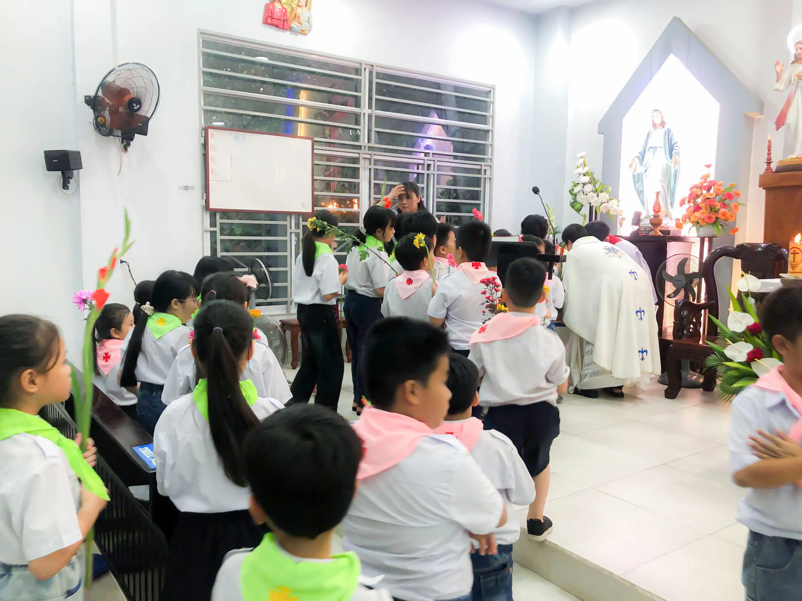 Photo-6