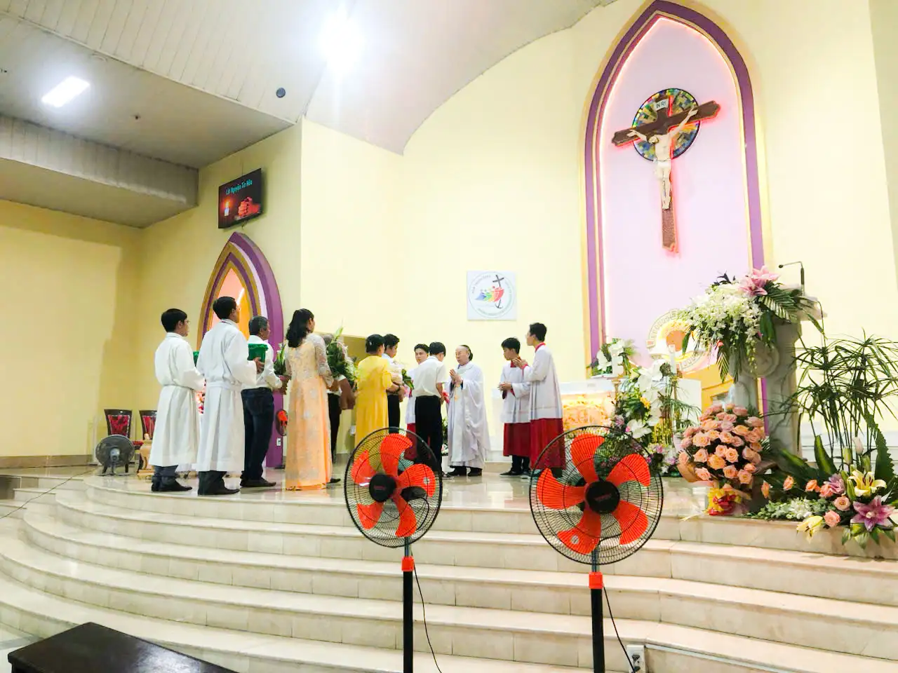 Photo-3