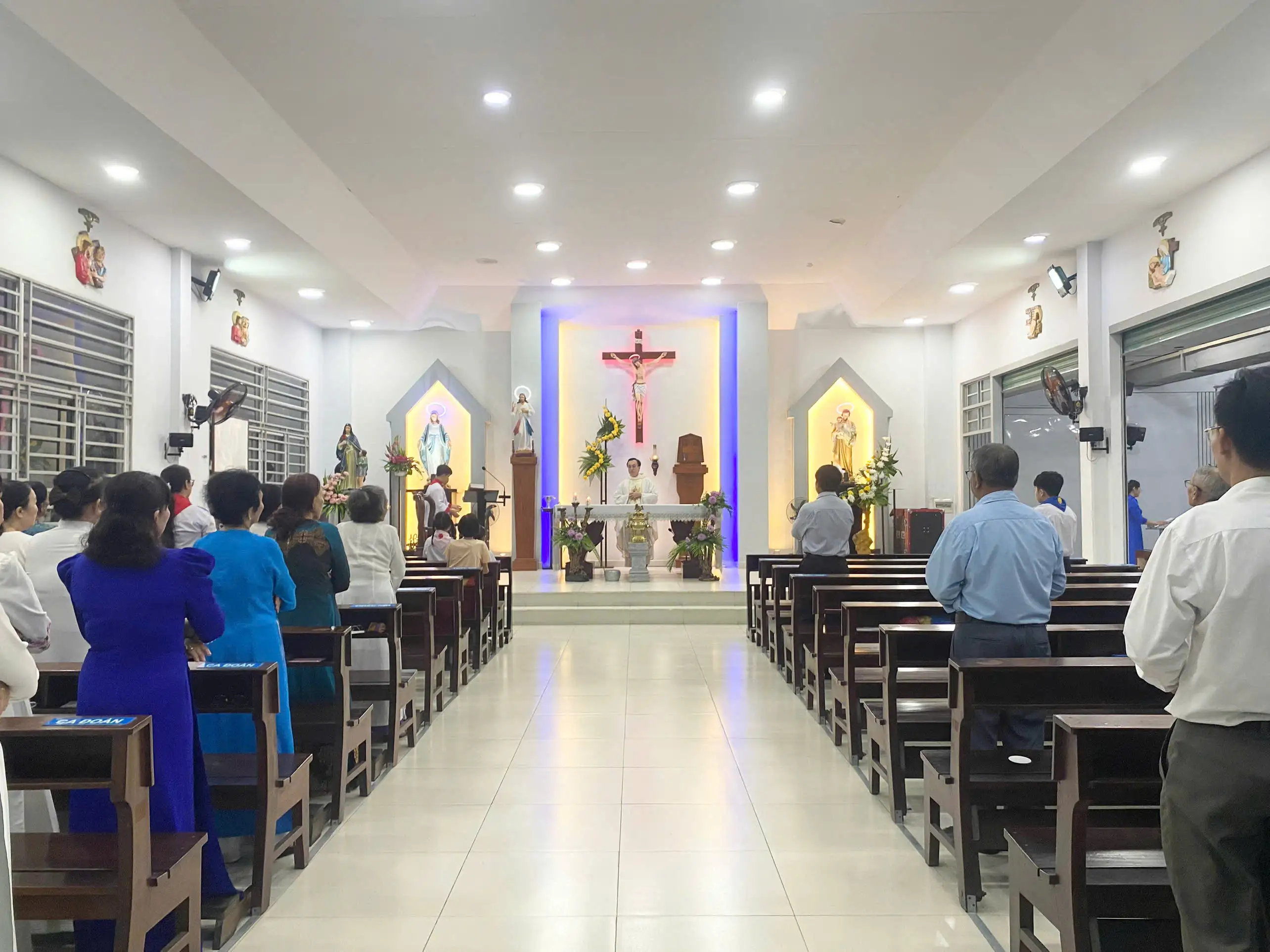 Photo-11