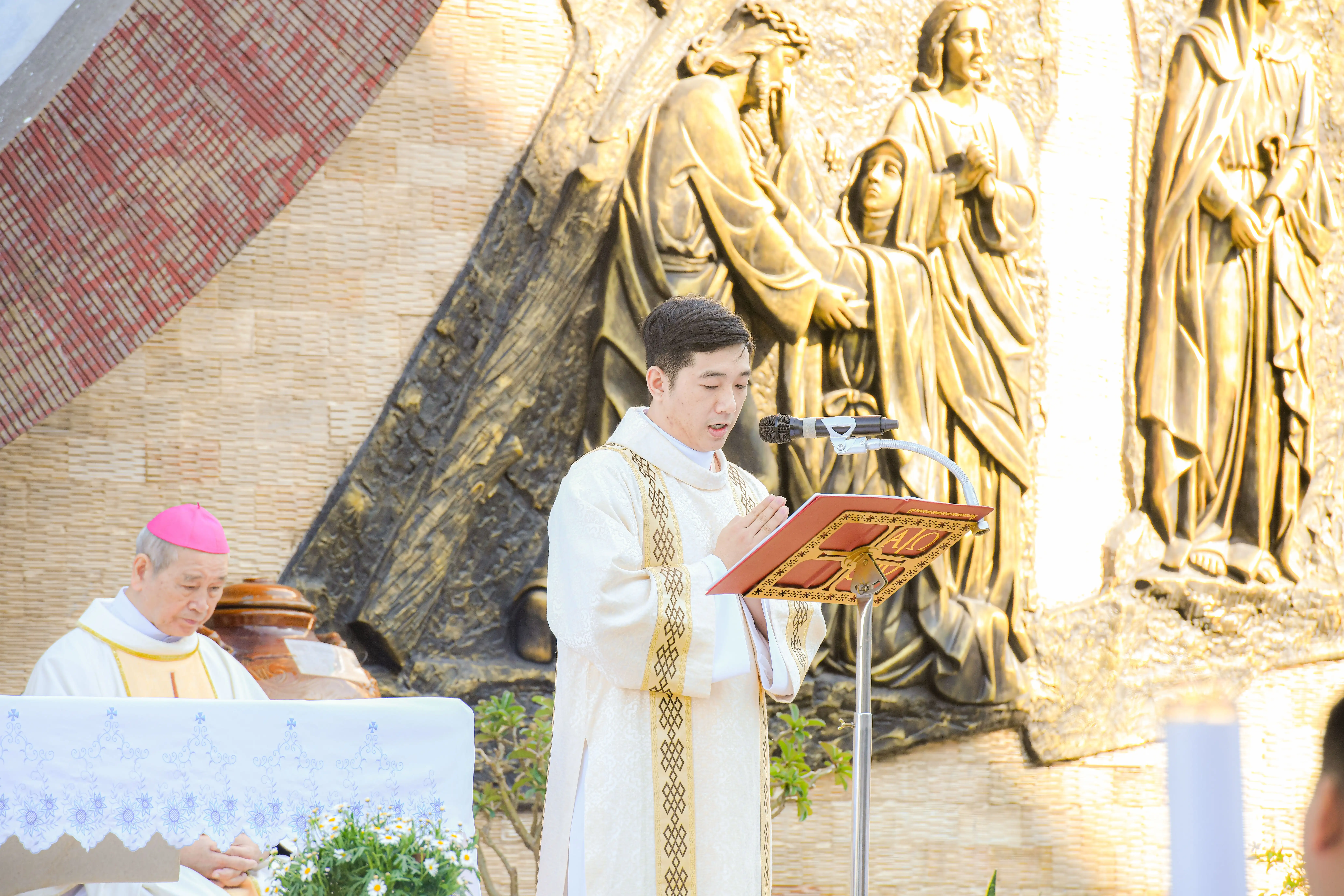Photo-6
