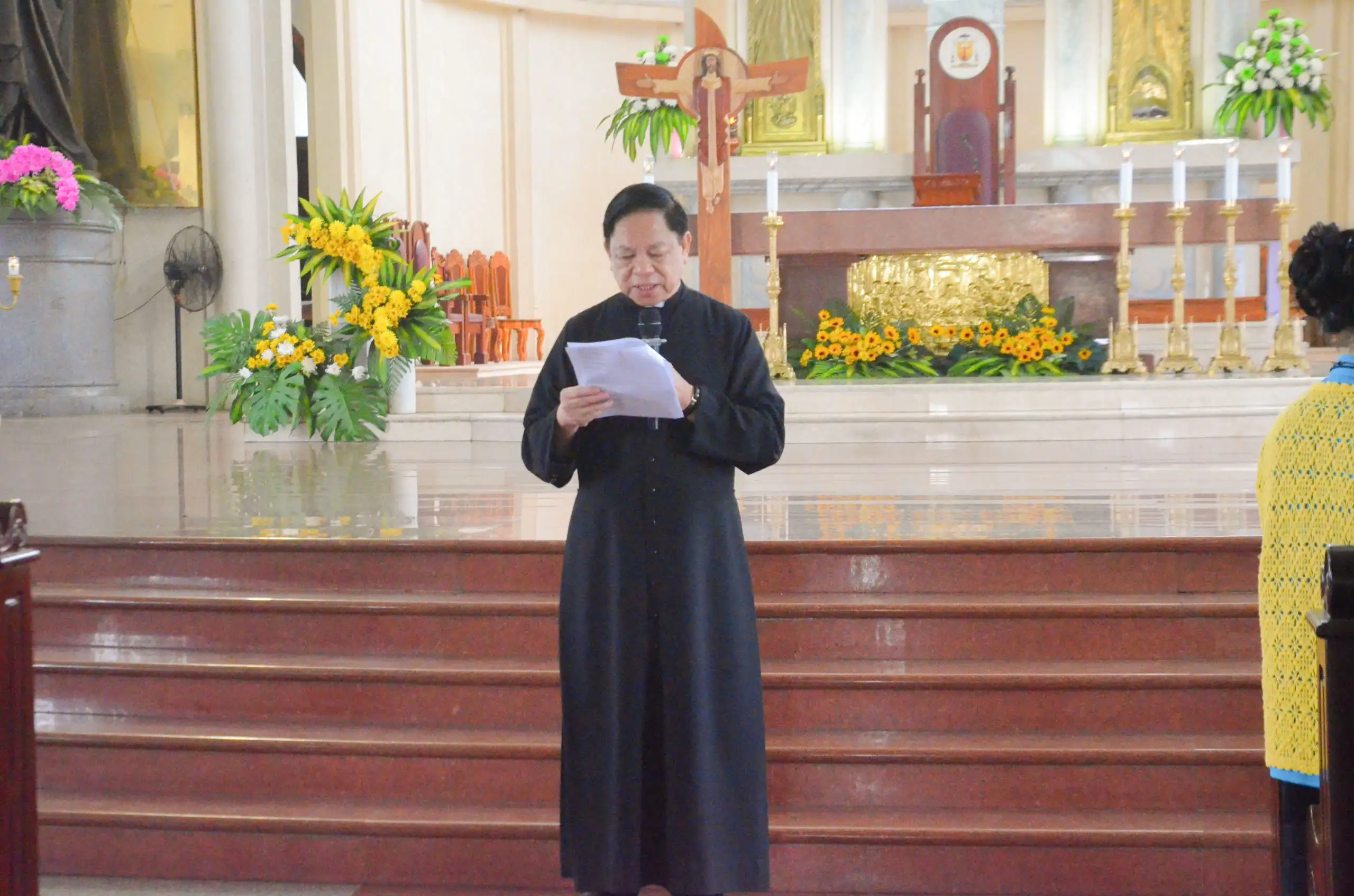 Photo-7