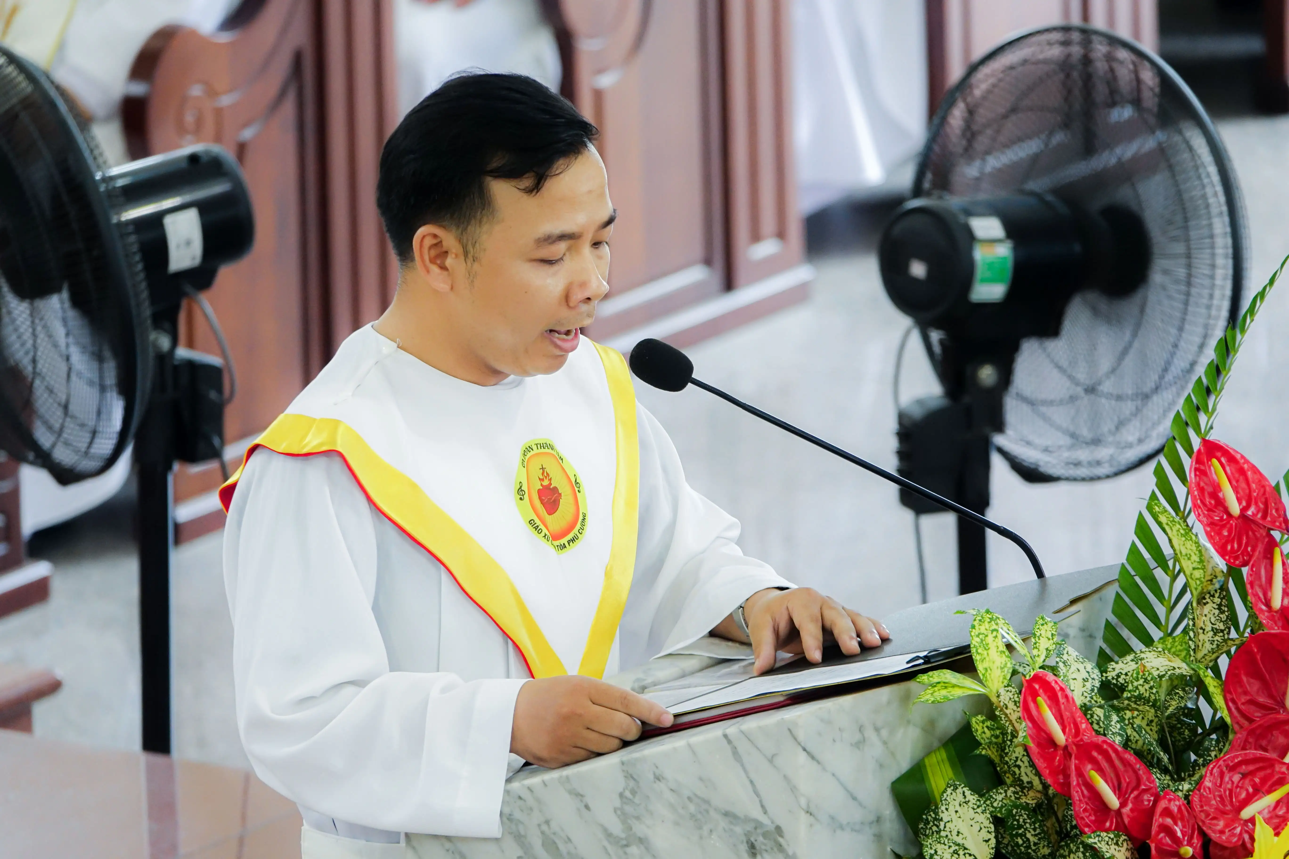 Photo-8