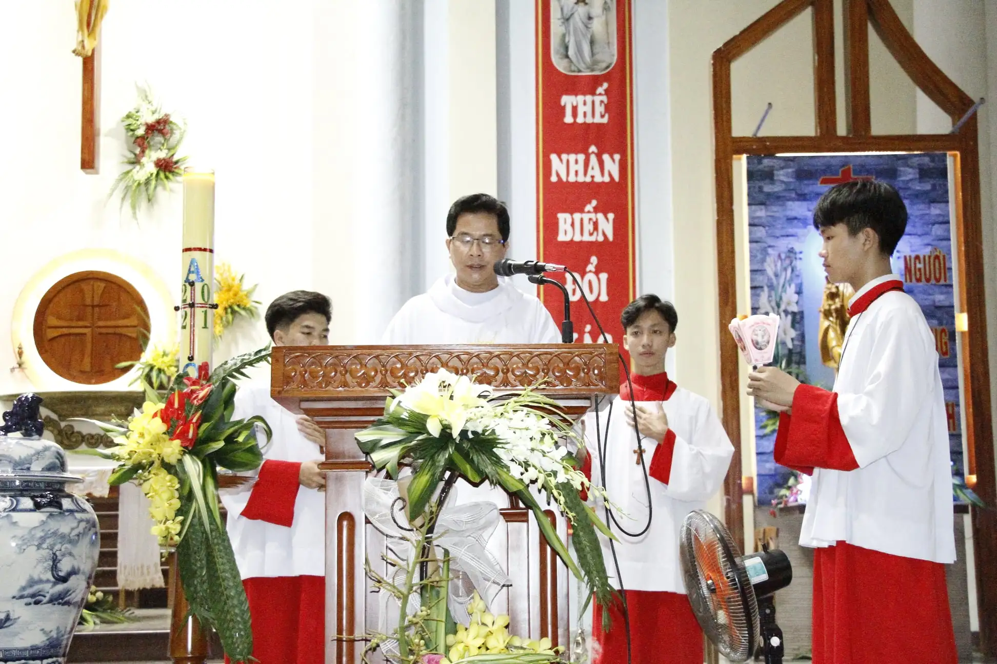 Photo-3