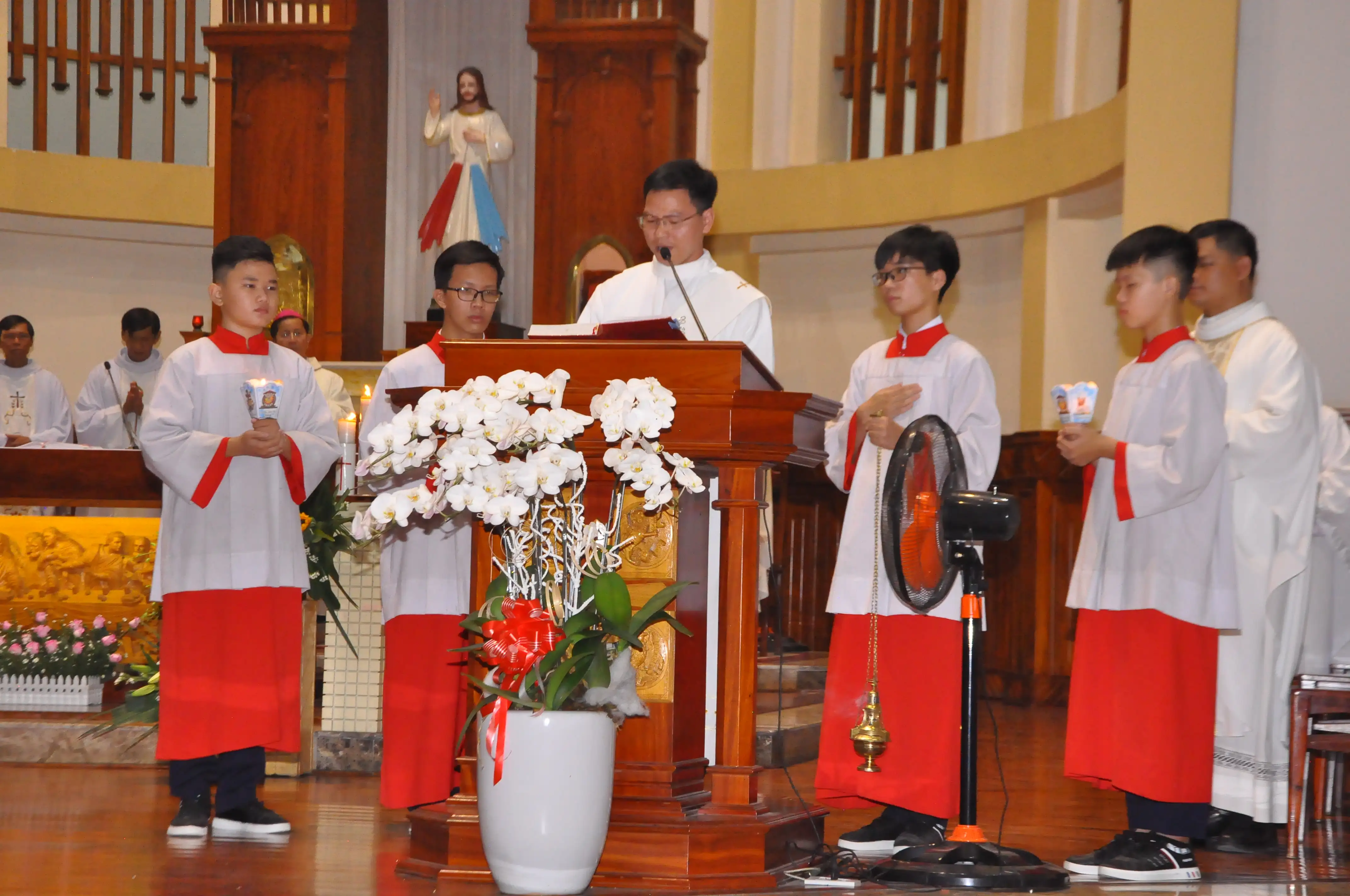 Photo-3