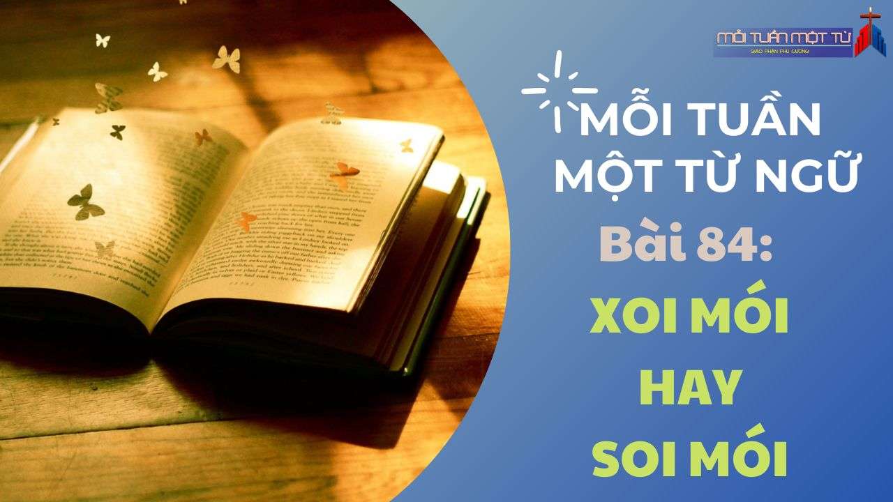 Mỗi tuần một từ ngữ - Bài 84: Xoi mói hay Soi mói