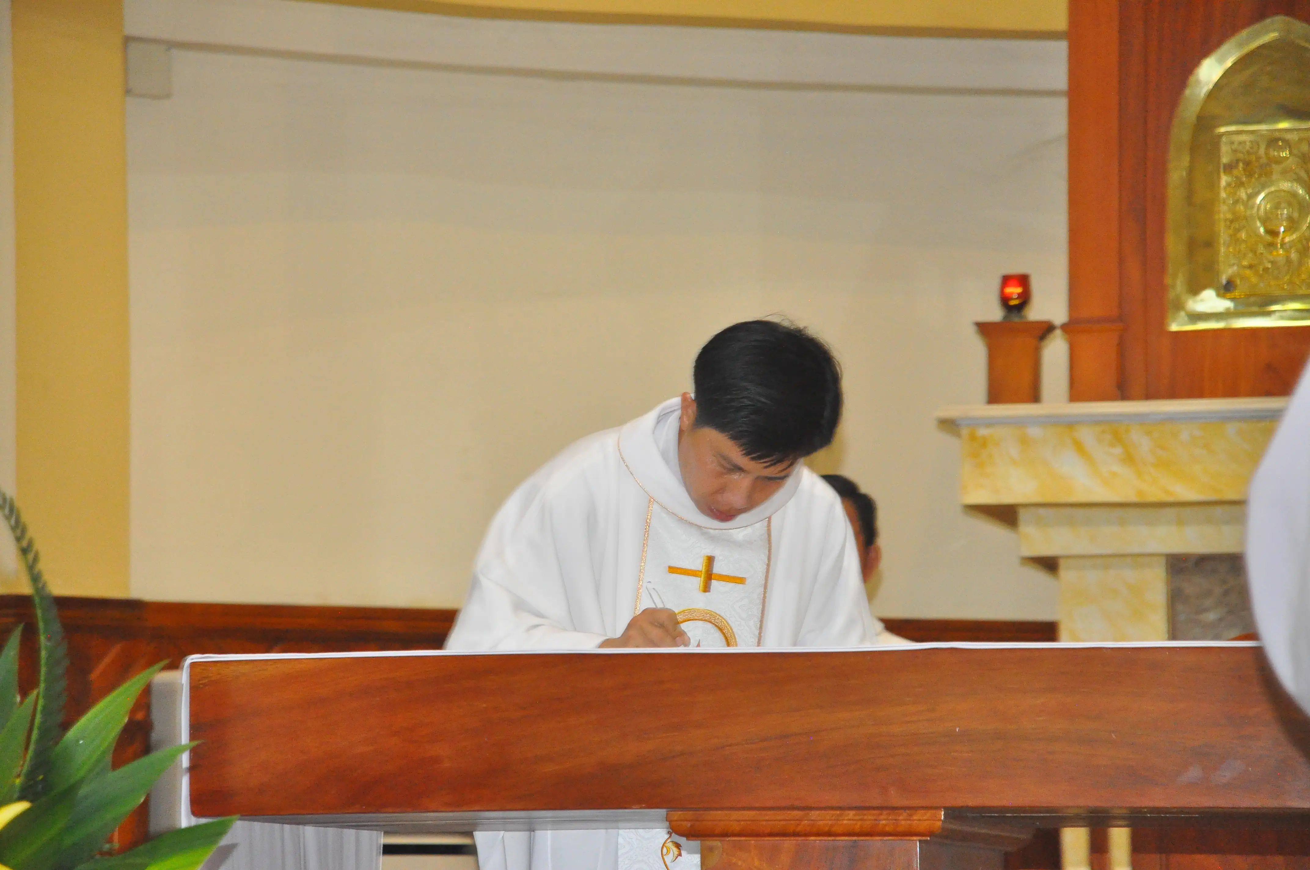 Photo-4