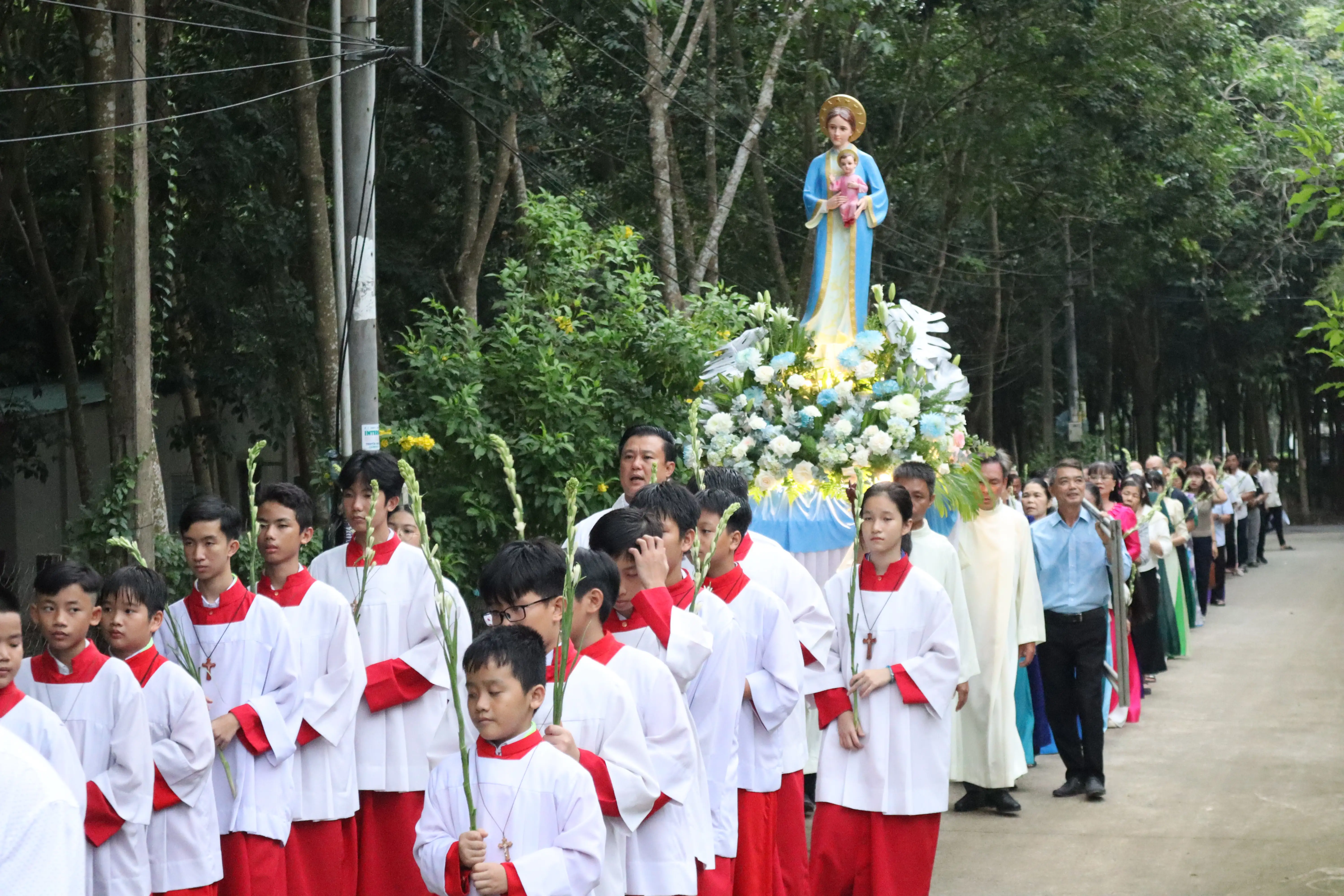 Photo-6