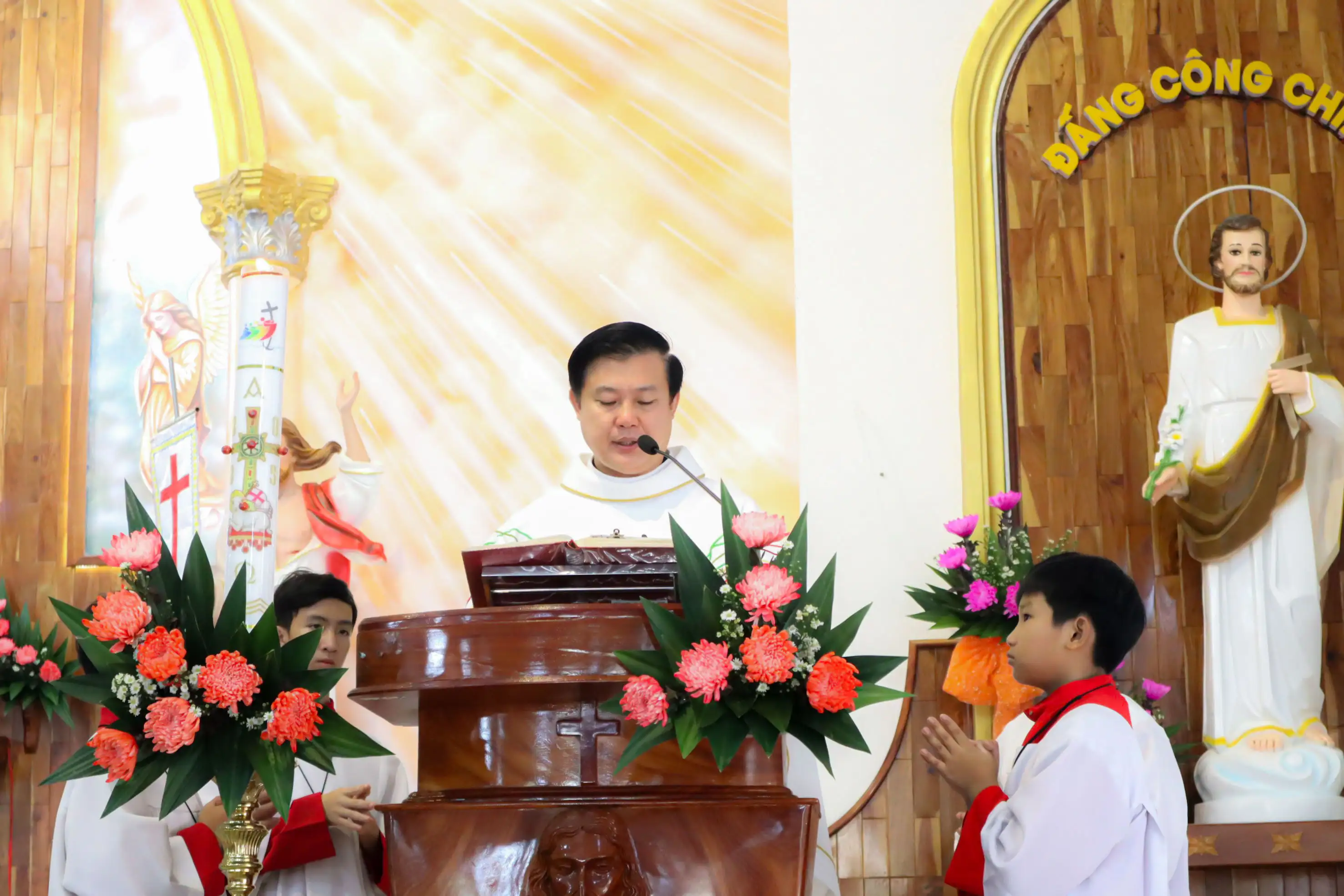 Photo-8
