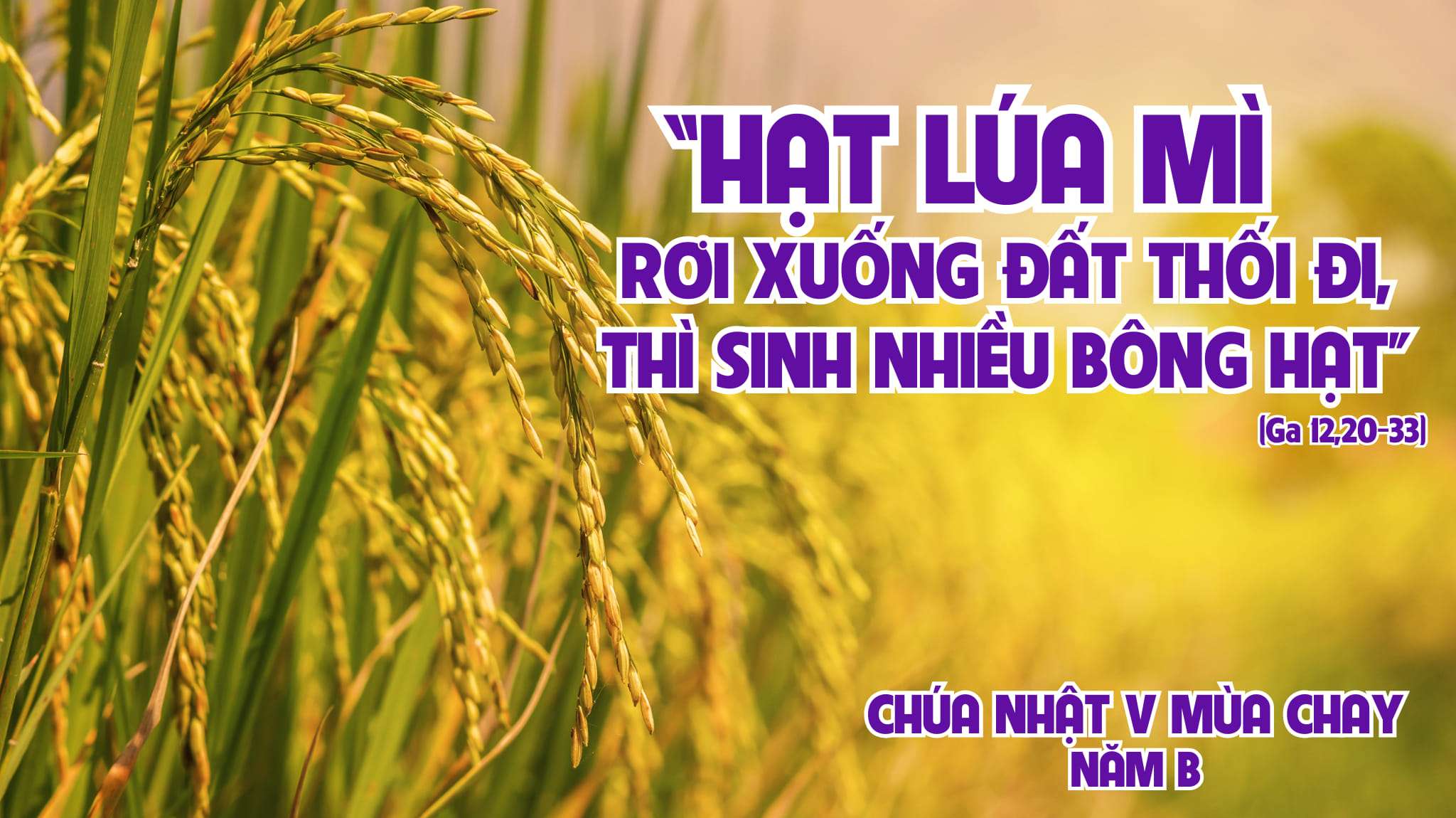 Chú Giải Tin Mừng Chúa Nhật Tuần V Mùa Chay Năm B Ga 12 20 33 Giáo Phận Phú Cường