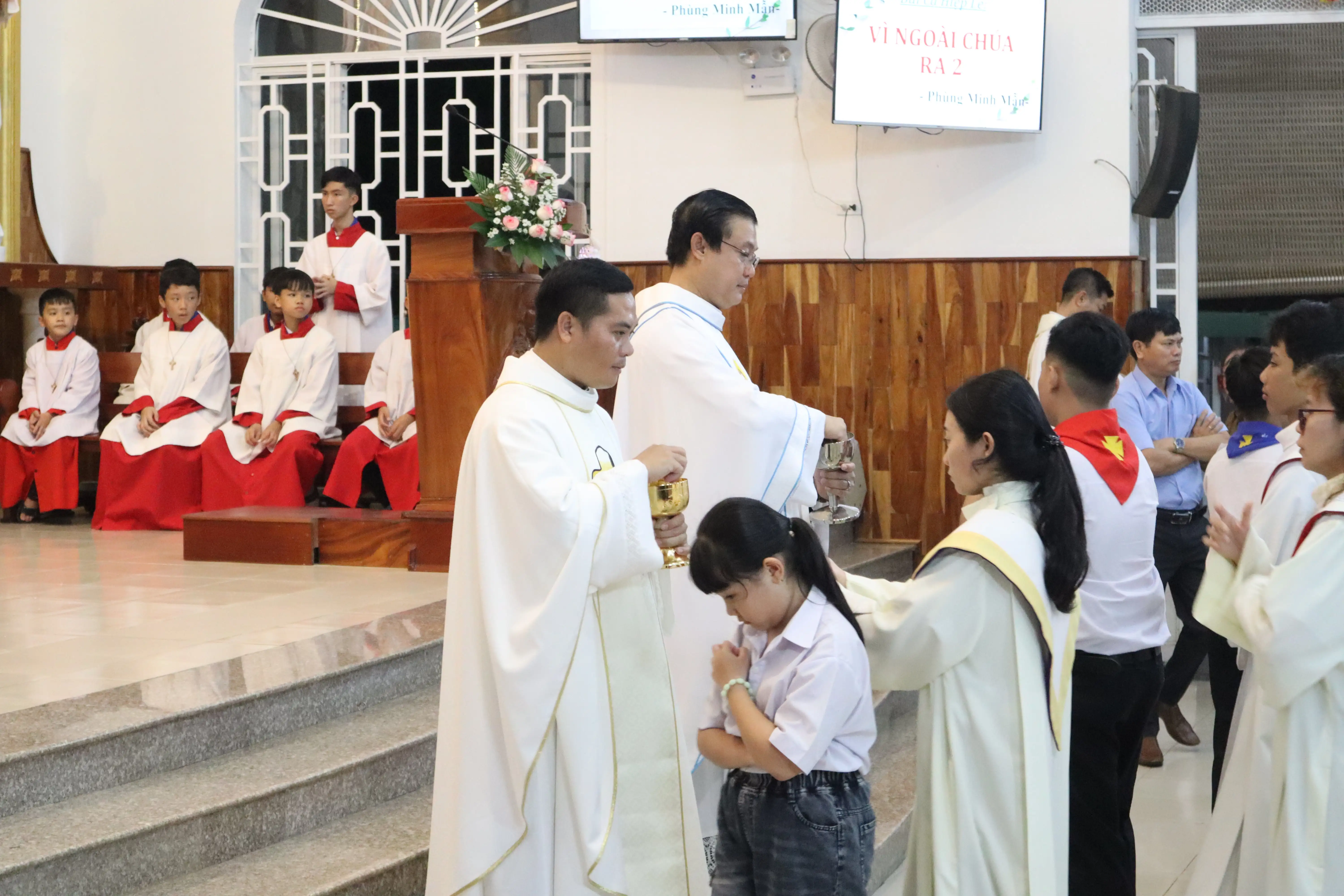 Photo-8