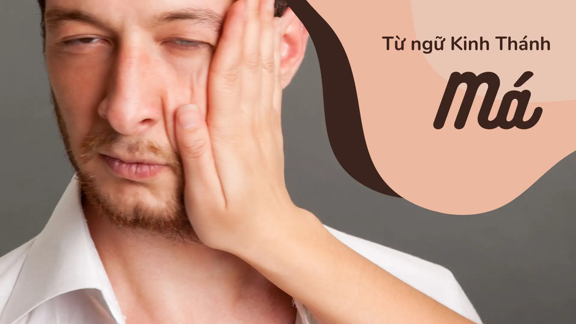 Má bên trái, Má bên phải - Chúa Nhật Thường Niên 7 A (Mt 5:38-48) - Từ ngữ Kinh Thánh -  hiệp thông Loan bao Tin mừng