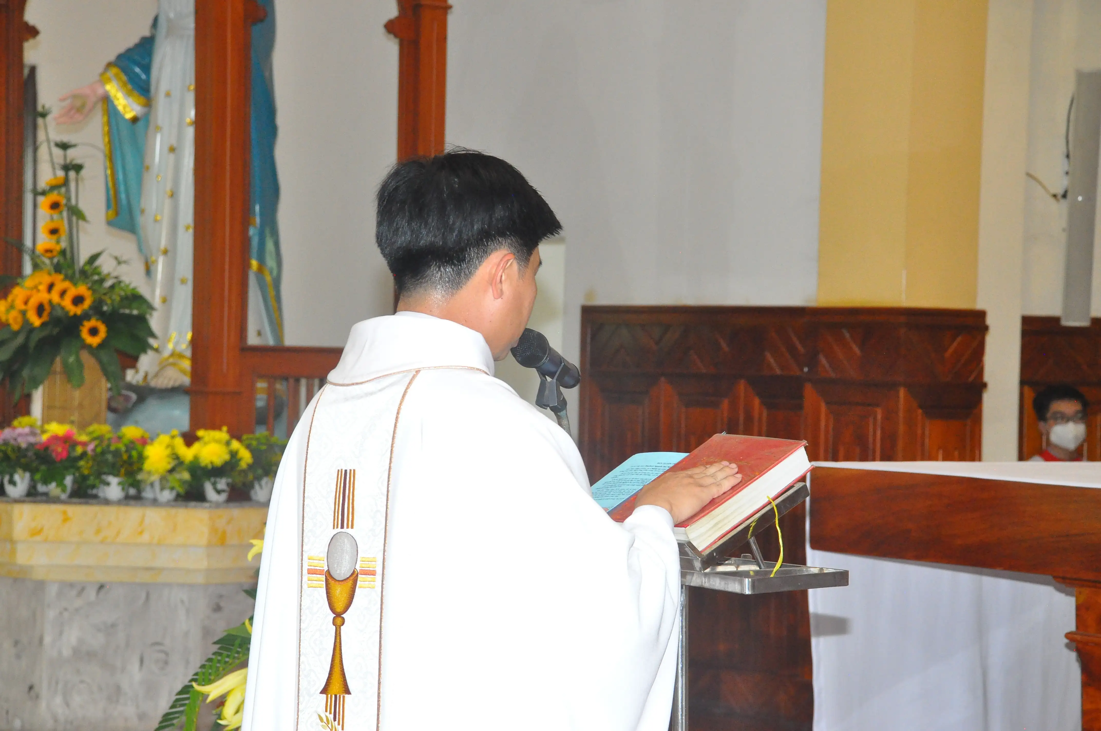 Photo-3